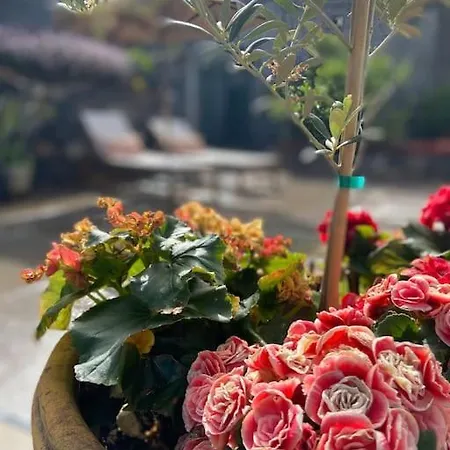 Chc Rochinha Apartment *