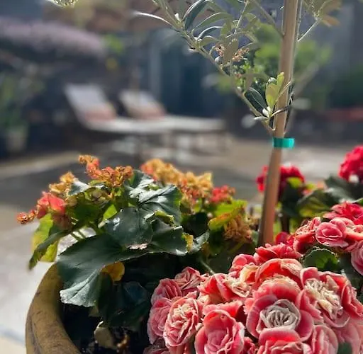 Chc Rochinha 公寓 *