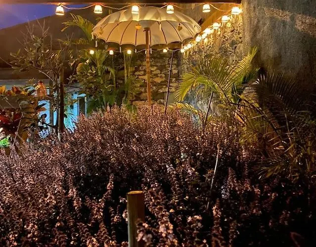 דירה Chc Rochinha *